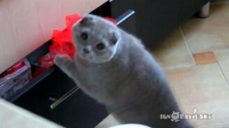 Упс, меня застукали... - смотреть видео (0:30)