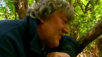 Зелёное чудо - смотреть видео (2:32)