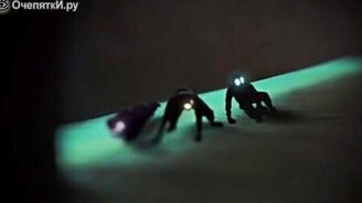 Котята в ударе - смотреть видео (1:46)