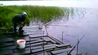 Неумеха рыбак - смотреть видео (0:22)