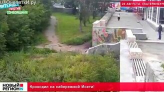 Крокодил в Екатеринбурге - смотреть видео (0:16)