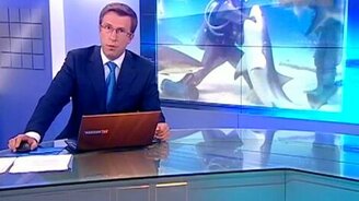 Девушка спасла акулу - смотреть видео (1:17)