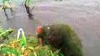 Я водяной! - смотреть видео (0:56)