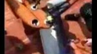 Марлин запрыгивает в катер - смотреть видео (0:54)