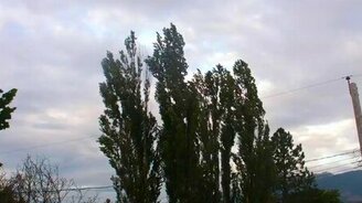 Загадочные звуки на улице - смотреть видео (1:50)