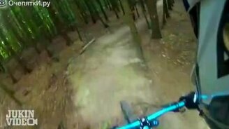 Врезался в дерево - смотреть видео (0:22)