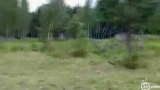 Отлично замаскировались - смотреть видео (0:17)