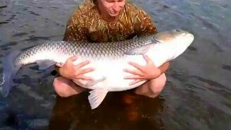 Рыбина в 30 кг - смотреть видео (4:26)