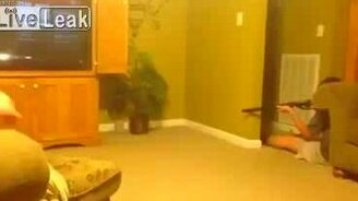 Квартирная охота на мышь - смотреть видео (1:01)