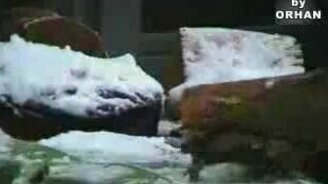 Умная и сильная - смотреть видео (2:19)