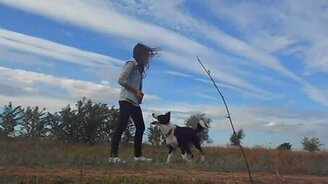 Дрессированный пёсик Джерри - смотреть видео (2:02)