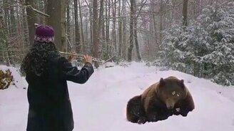 Флейта усыпила медведя - смотреть видео (0:54)