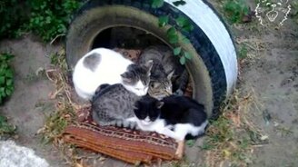 Местечко для согрева - смотреть видео (0:18)