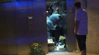 Мышь-гигант - смотреть видео (0:59)