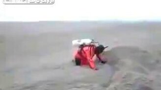 Живое море из пепла - смотреть видео (1:25)