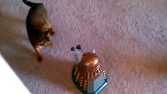 Пугалка для домашних кошек - смотреть видео (1:04)