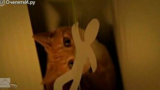 Рыжий кот против бумажной армии - смотреть видео (2:06)