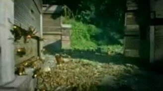 Нападение шершней на пасеку пчёл - смотреть видео (3:38)