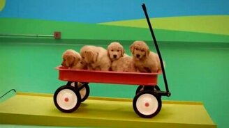 Оригинальный реклама собачьего корма - смотреть видео (1:21)