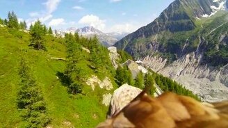 Красота с высоты орлиного полёта - смотреть видео (1:26)