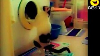 Подборка забавных приколов и казусов - смотреть видео (19:20)