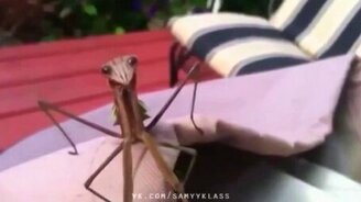 Большая подборка мощных приколов - смотреть видео (21:53)