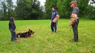 Надёжный защитник от бандитов - смотреть видео (1:10)