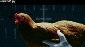 Курица - символ Мерседеса - смотреть видео (0:45)