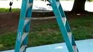 Стремянка пошла на прогулку - смотреть видео (1:47)