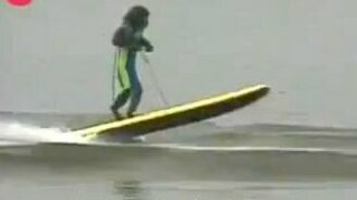 Умелые обезьянки - смотреть видео (1:11)