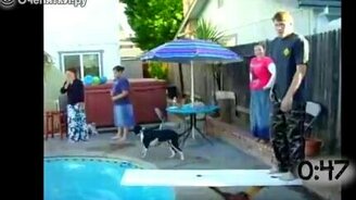 Неудачи с трамплинами в бассейнах - смотреть видео (0:55)