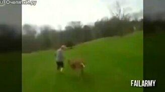 Когда животные атакуют... - смотреть видео (7:52)