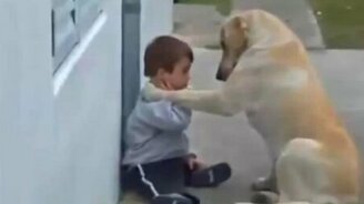 Пёс общается с мальчиком - смотреть видео (4:44)