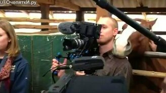 Лошадь заигрывает с оператором - смотреть видео (1:17)