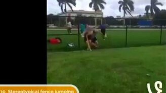 Новые короткие приколы в сборке - смотреть видео (8:03)