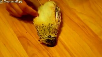 Улётные приколы и курьёзы - смотреть видео (7:49)