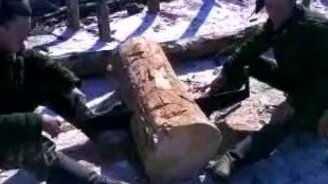 Лучшая пила Дружба - смотреть видео (1:02)