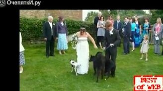 Подборка свадебных казусов - смотреть видео (3:15)