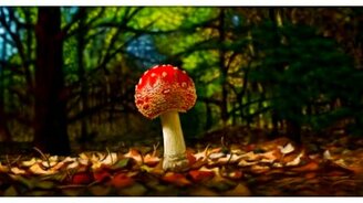 Всем тёплой осени! - смотреть видео (1:56)