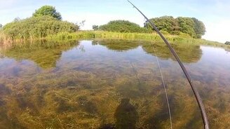 Битва титанов: рыбак против дикого карпа - смотреть видео (3:58)