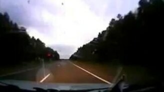 Счастливый водитель и лось - смотреть видео (0:15)