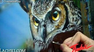 Красивый рисунок совы акрилом - смотреть видео (3:32)