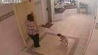 Мужик с яйцами и женщина с псом - смотреть видео (0:58)