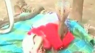 Кобры возле спящего малыша - смотреть видео (0:36)