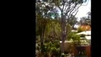 Быстро, однако, свалил дерево - смотреть видео (0:30)