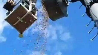 Разорили беличий тайник - смотреть видео (1:20)