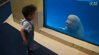 Белуха обливает малыша - смотреть видео (0:15)