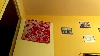 Кот-перехватчик - смотреть видео (0:47)