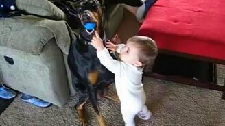 Дай мячик, а? - смотреть видео (0:37)