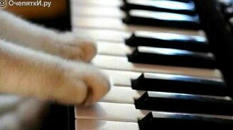 Истинный кошачий блюз - смотреть видео (2:16)